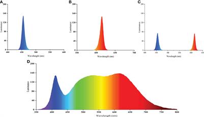 Blue and Red Light Color Combinations Can Enhance Certain Aspects of Digestive and Anabolic Performance in Juvenile Steelhead Trout Oncorhynchus mykiss